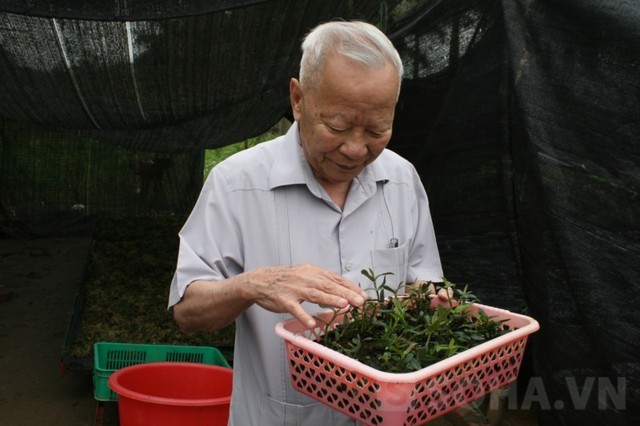Phó Thủ tướng, Nguyễn Công Tạn