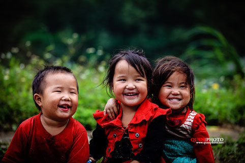 Hà Giang, tam giác mạch, cúc dại