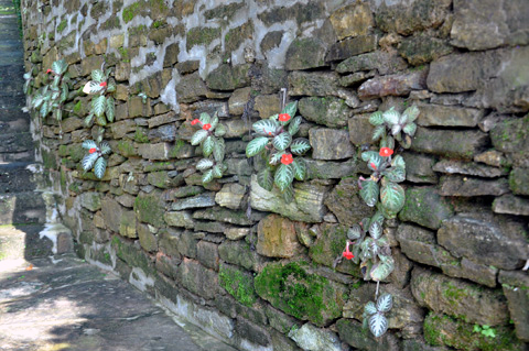 Hoa dại khoe sắc mọc ra từ bức tường thành bằng đá