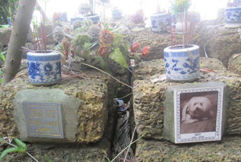 Rất nhiều thú cưng được an táng tại nghĩa trang