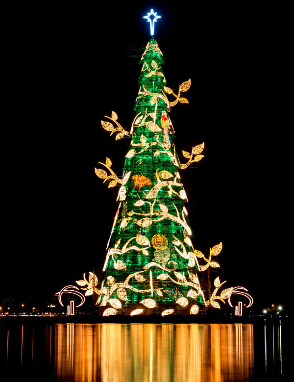 cây thông, Giáng sinh, Noel
