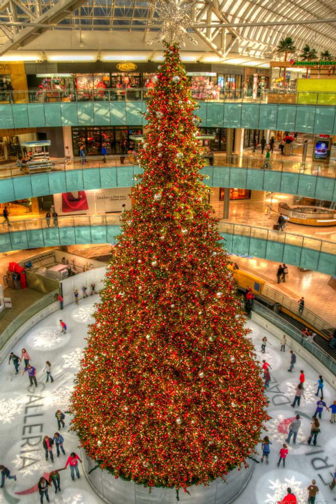 cây thông, Giáng sinh, Noel