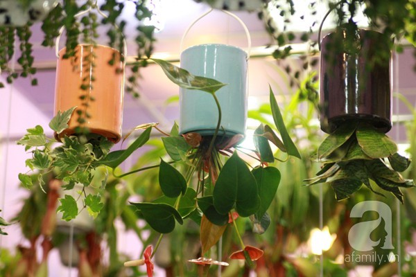 ăn-chơi, mốt, thú-chơi, gây-sốt, cúc-họa-mi, cây-úp-ngược, hạt-ươi, quả-hại, ăn-vặt, nho-Lào ăn-chơi, mốt, thú-chơi, gây-sốt, cúc-họa-mi, cây-úp-ngược, hạt-ươi, quả-hại, ăn-vặt, nho-Lào