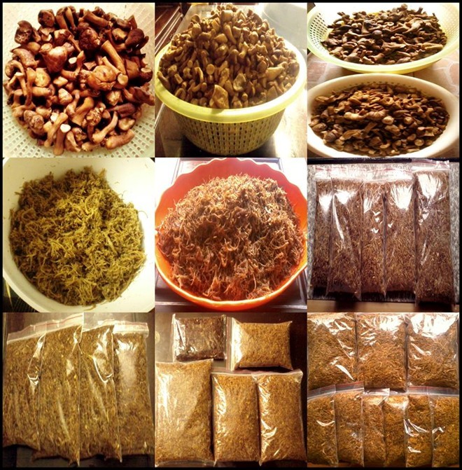 ăn-chơi, mốt, thú-chơi, gây-sốt, cúc-họa-mi, cây-úp-ngược, hạt-ươi, quả-hại, ăn-vặt, nho-Lào ăn-chơi, mốt, thú-chơi, gây-sốt, cúc-họa-mi, cây-úp-ngược, hạt-ươi, quả-hại, ăn-vặt, nho-Lào