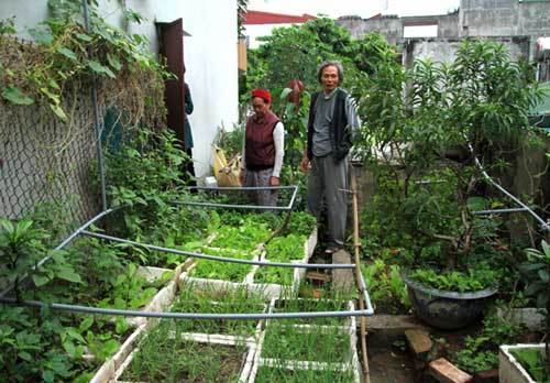 ăn-chơi, mốt, thú-chơi, gây-sốt, cúc-họa-mi, cây-úp-ngược, hạt-ươi, quả-hại, ăn-vặt, nho-Lào ăn-chơi, mốt, thú-chơi, gây-sốt, cúc-họa-mi, cây-úp-ngược, hạt-ươi, quả-hại, ăn-vặt, nho-Lào