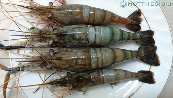 tôm, phân-biệt-tôm-hóa-chất, tôm-hóa-chất, tôm-bơm-hóa-chất, thực-phẩm, hải-sản, tôm, phân-biệt-tôm-hóa-chất, tôm-hóa-chất, tôm-bơm-hóa-chất, thực-phẩm, hải-sản,