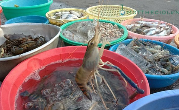 tôm, phân-biệt-tôm-hóa-chất, tôm-hóa-chất, tôm-bơm-hóa-chất, thực-phẩm, hải-sản, tôm, phân-biệt-tôm-hóa-chất, tôm-hóa-chất, tôm-bơm-hóa-chất, thực-phẩm, hải-sản,
