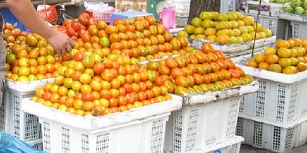 Đà-Lạt, đặc-sản, đội-lốt, khoai-tây, dâu-tây, hành-tây, mứt-tết, bắp-cải, hàng-tàu, Trung-Quốc, trá-hình, giả, lừa-đảo Đà-Lạt, đặc-sản, đội-lốt, khoai-tây, dâu-tây, hành-tây, mứt-tết, bắp-cải, hàng-tàu, Trung-Quốc, trá-hình, giả, lừa-đảo