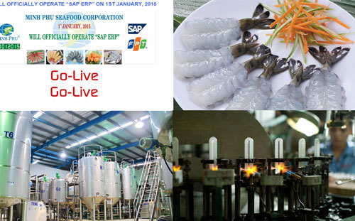 công-nghệ, quản-trị, đổi-mới, doanh-nghiệp, doanh-nhân, Minh-Phú, Rạng-Đông, Lê-Văn-Quang, SAP-ERP, Vinamilk, Mai-Kiều-Liên, Phạm-Chi-Lan