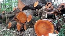 Dịch vụ kế toán trọn gói giá rẻ