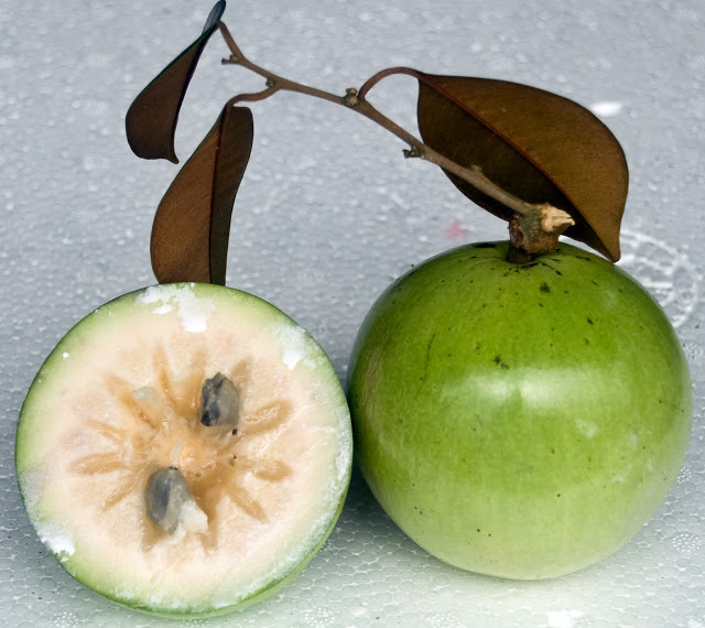 hoa quả, trẻ nhỏ