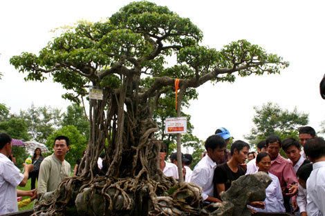 Sốc với những thứ triệu đô 'made in VN'