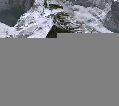 Khách ngoại khen hủy bắn pháo hoa là 'cử chỉ đẹp'