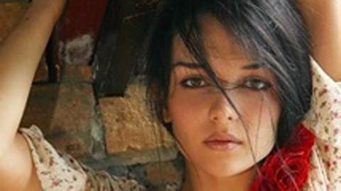 Cuộc chiến giành lại chồng