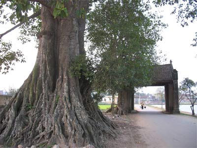 Bi hài chuyện 