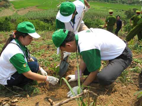 Honda Việt Nam tài trợ dự án phát triển rừng bền vững
