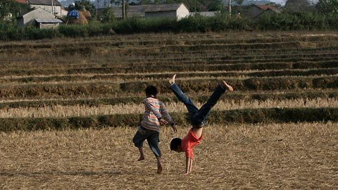 Chùm ảnh: 