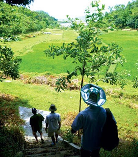 Mốt chơi điền trang của giới trung lưu Hà Nội