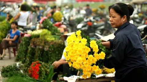 Giá đất HN gấp ngàn lần nơi khác nên phạt phải cao?