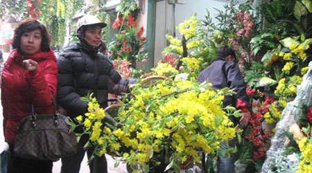 Chùm ảnh: Chen chúc 