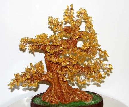 Chơi cây tài lộc dịp Tết Nguyên đán