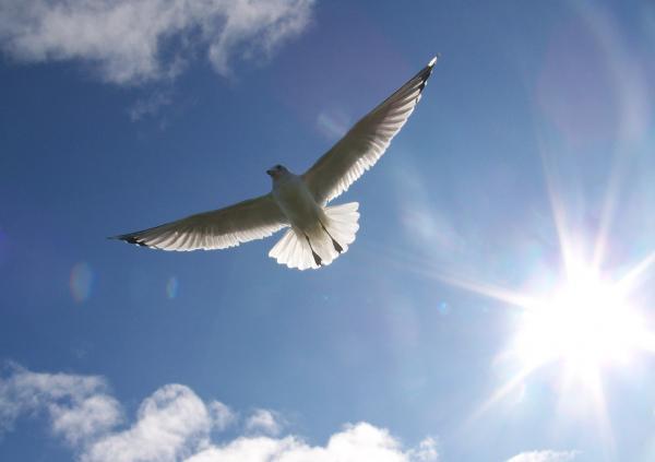 Để môi trường sống tốt đẹp hơn