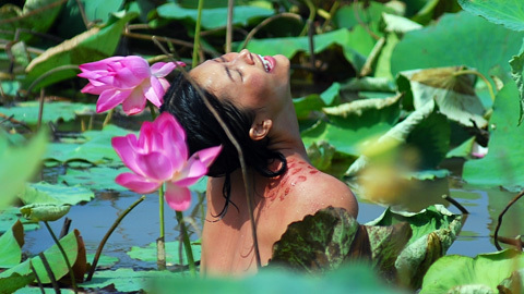 Cánh diều 2011 không tổ chức tại Hà Nội