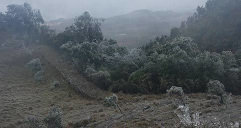 Miền Bắc chìm trong rét, Hà Nội lạnh 8 độ