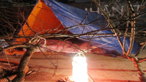 Khóc cười đào quất trong đêm lạnh