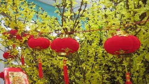 Cách chúc Tết “hot” nhất năm mới