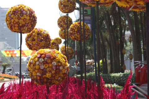 Những giọt mồ hôi ở đường hoa Nguyễn Huệ