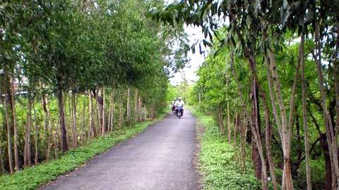 Con đường mùa xuân của tuổi thơ