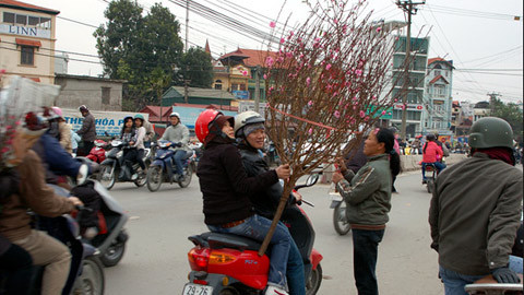 Chuyện ông đại sứ kiêng... vịt ngày Tết