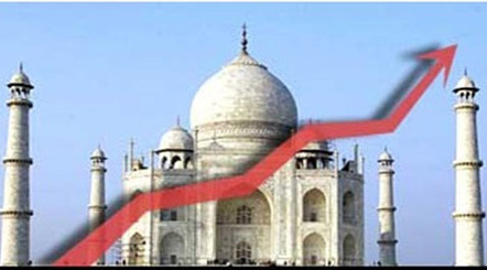 Con Voi ngái ngủ và thế trận với Sư tử và Cọp