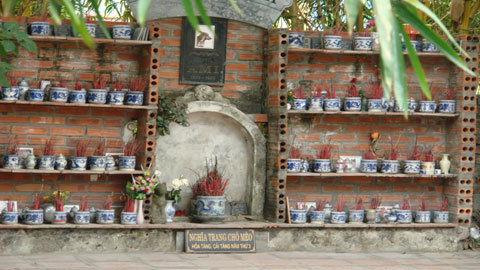 Xông đất đài hóa mèo hoàn vũ