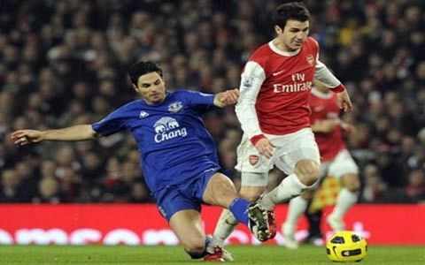 Fabregas rút lui khỏi ĐT Tây Ban Nha