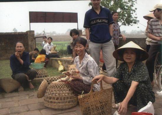 Xem lại những độc đáo dịp Tết Tân Mão