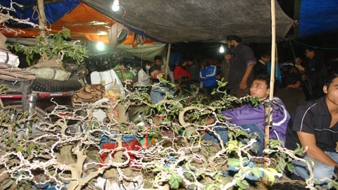 Chợ Viềng thành chợ… 