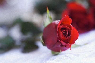 Độc chiêu “bẻ khóa” trái tim dịp Valentine