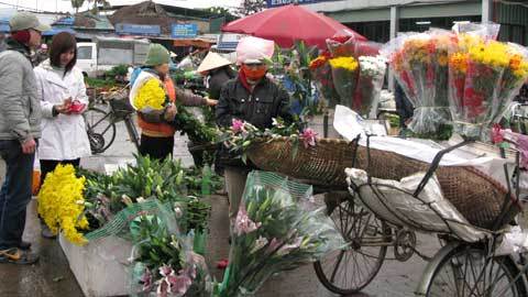 Nông dân chịu tác động của bão giá