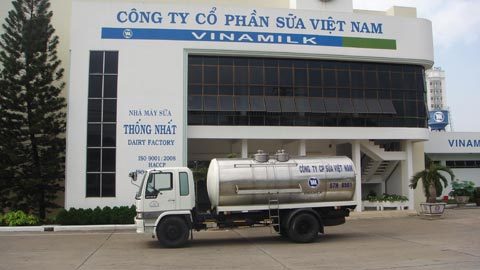 Vinamilk thu mua hết sữa bò tươi trong dịp Tết