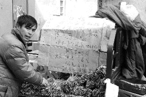 Chàng trai tìm bạn đời giữa chợ rau