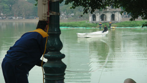 Hơn 10 sở, ngành tham gia cứu cụ rùa
