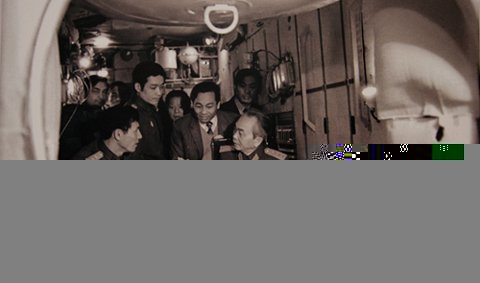 Xem cận cảnh những vết thương cụ rùa