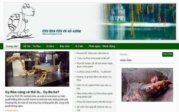 Chuyện nhóm bạn trẻ “xây nhà” cho cụ rùa
