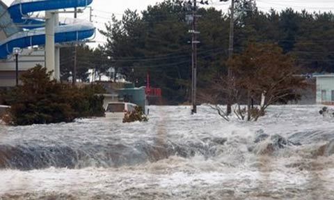 Động đất, sóng thần tàn phá Nhật