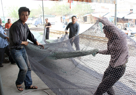 Sẵn sàng 'kéo' cụ rùa lên