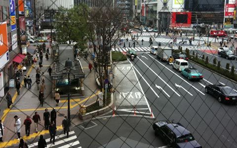 Tựa vào Net những ngày động đất, sóng thần