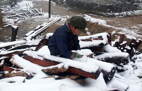 Tuyết rơi trắng xóa Sa Pa