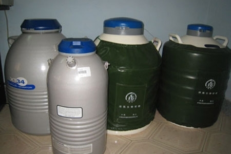 Những khách đặc biệt ở 'ngân hàng con giống'